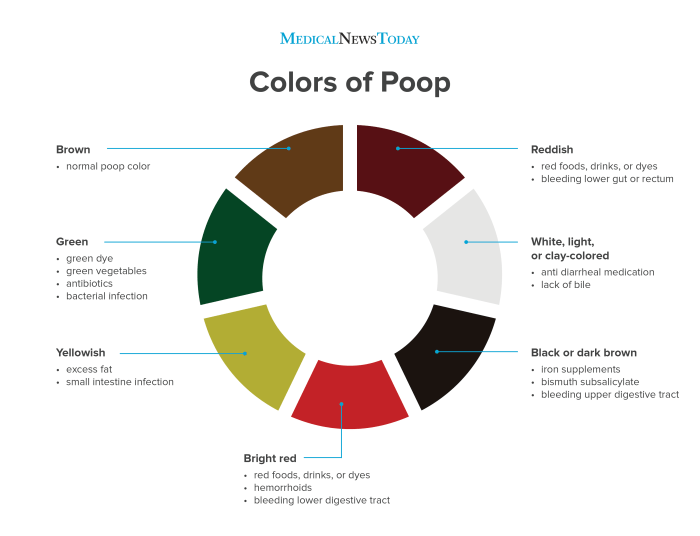 Can blue food coloring cause green stool