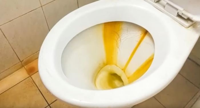 Will food coloring stain toilet bowl