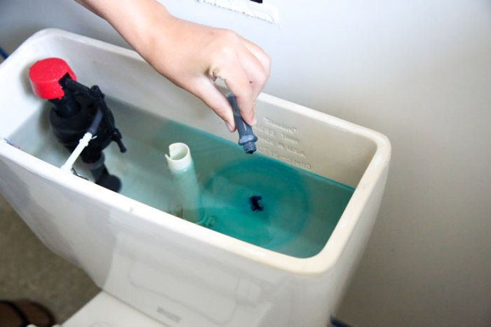 Toilet leak test food coloring